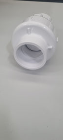 2" Check Valve
