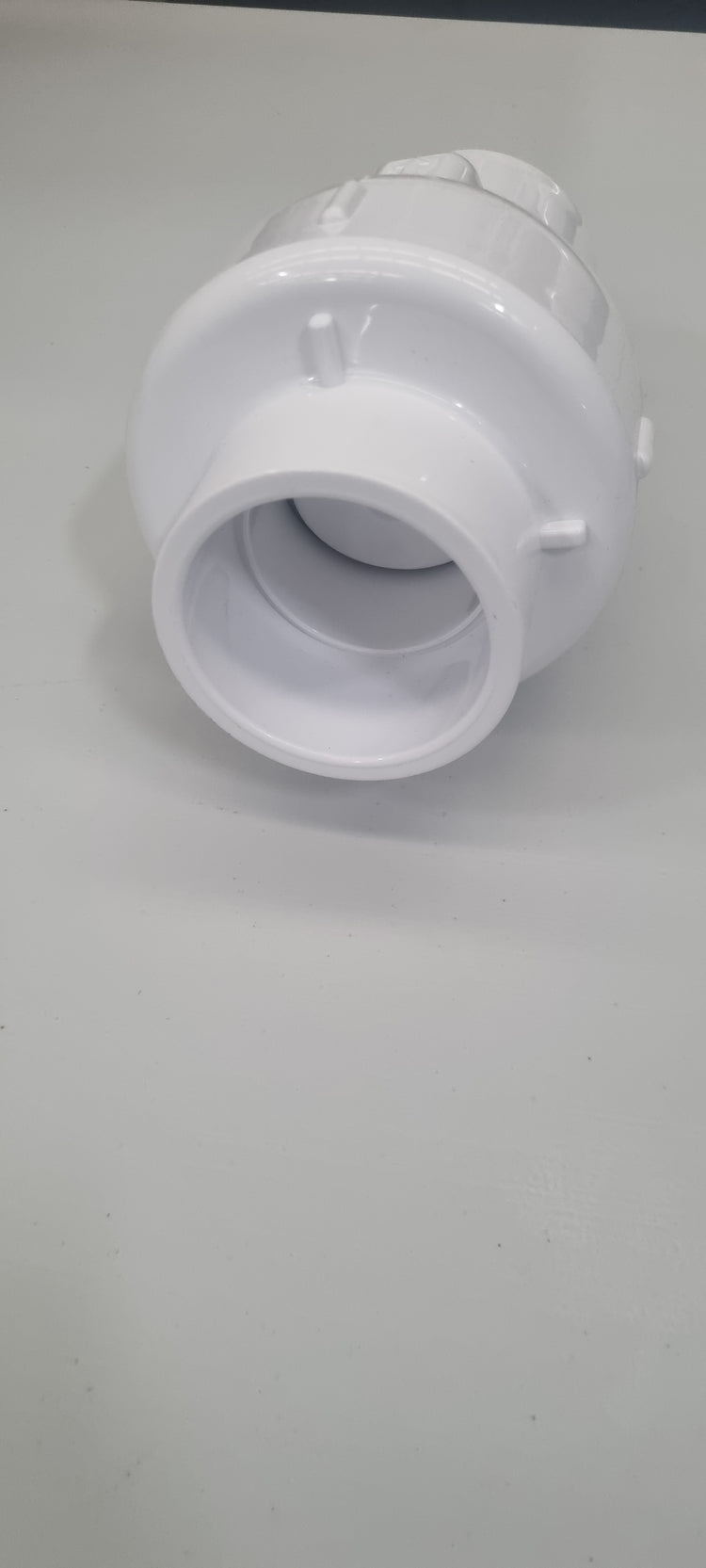 2" Check Valve