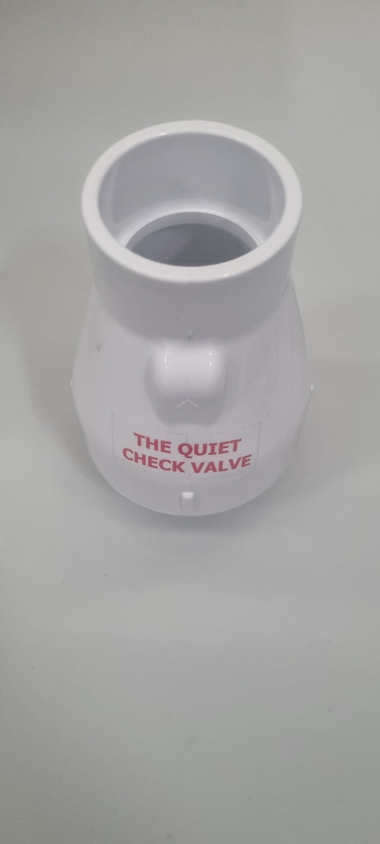 2" Check Valve