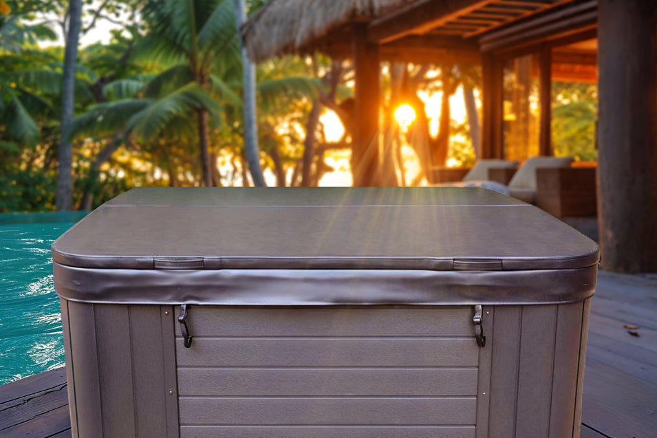 covered spa in a backyard at sunset, exotic palms in the background