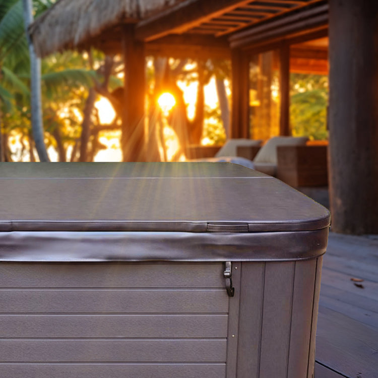 covered spa in a backyard at sunset, exotic palms in the background